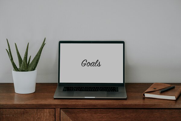 A laptop on a wooden drawer with the word "Goals" on a white background on the screen. An aloe vera plant is placed next to the laptop, on the left of the photo. Photo by Clay Banks on Unsplash.