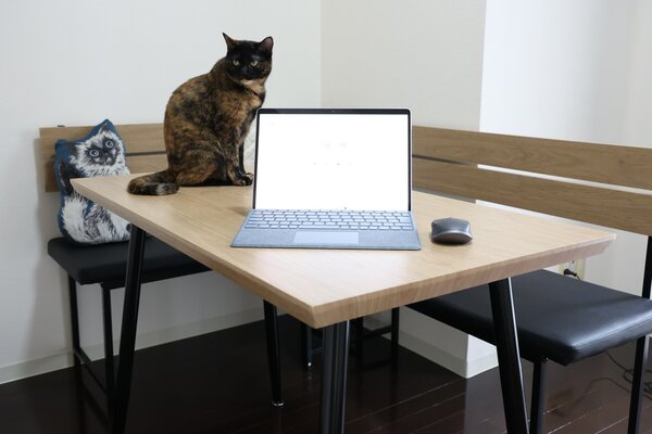 A table with an open laptop and a cat sitting behind the laptop