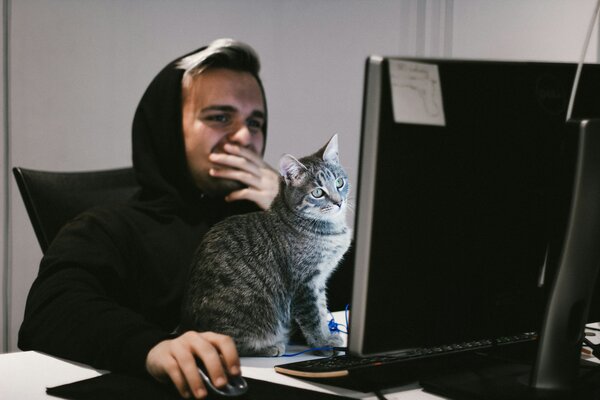 Man thinking in front of a laptop with a grey cat on his lap